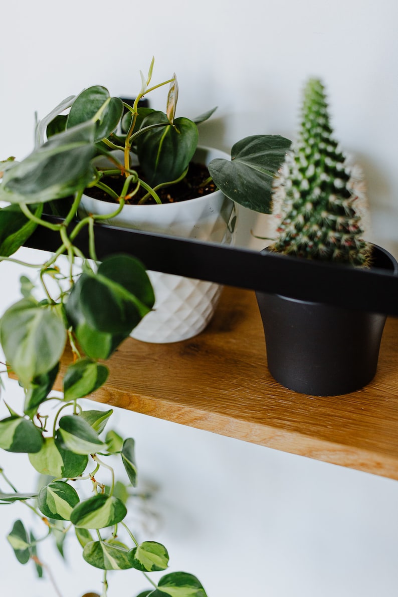 Wall Mount Handmade Wall Shelf