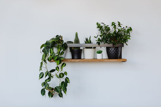 Wall Mount Handmade Wall Shelf